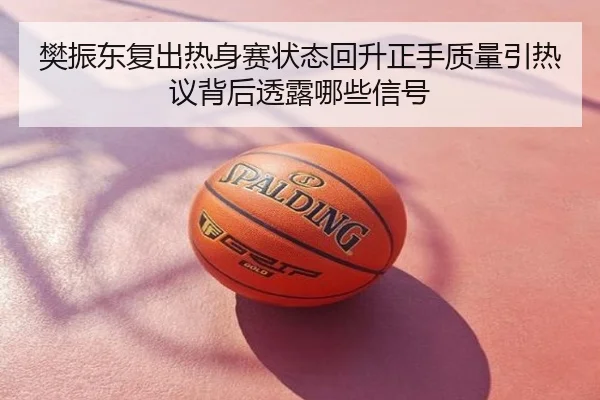 樊振东复出热身赛状态回升正手质量引热议背后透露哪些信号